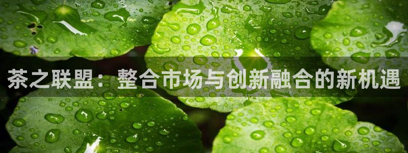 龙八国际娱乐客服