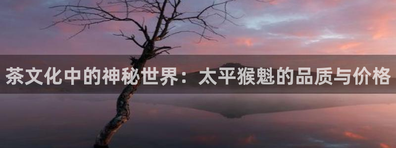 龙八国际怎么进不去了