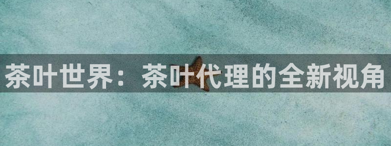 龙八国际新版