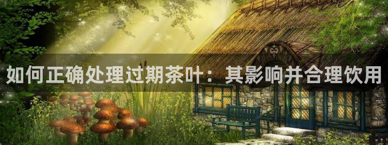 龙八国际long88