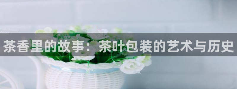 龙八国际app手机版下载苹果
