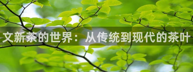 龙八国际棋牌有挂吗