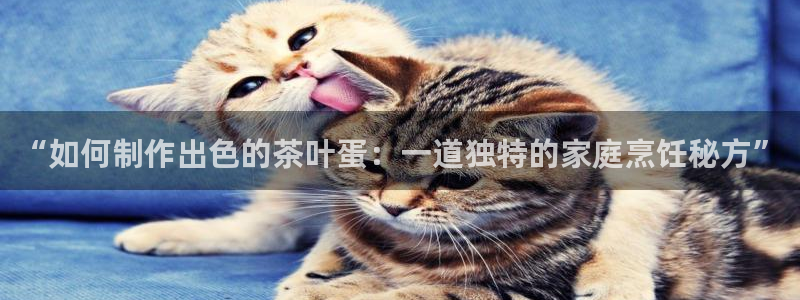 龙八国际娱乐场