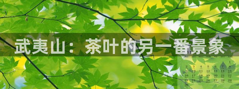 龙八国际娱乐dt 和老虎机