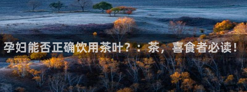 龙八国际交响乐