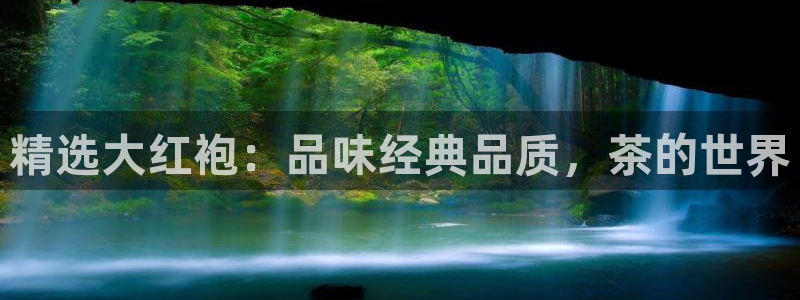 龙八国际app电话