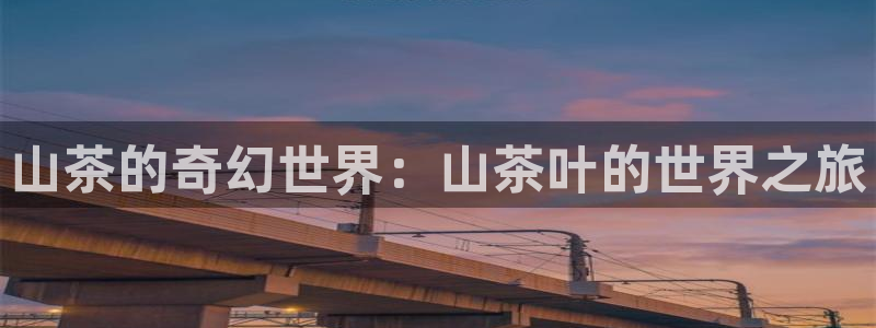 龙八国际娱乐官网首页