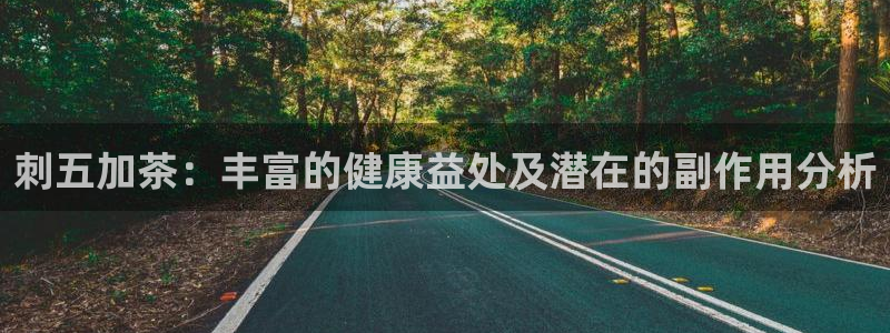 龙八国际服官方