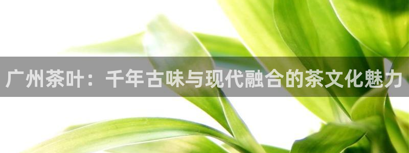 龙八国际app联系方式