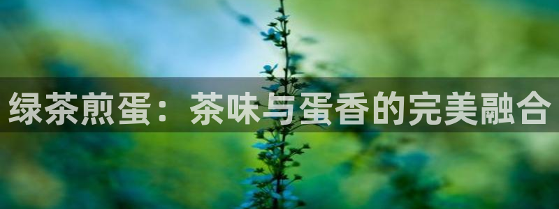 龙八国际官方网站