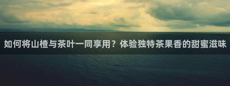 龙八国际官网网站