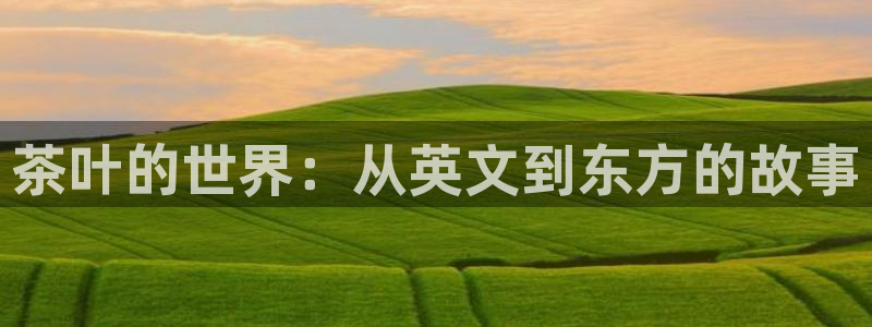 龙八国际下载链接