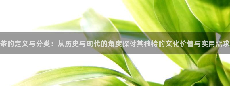 龙八国际88