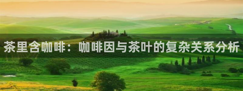 龙八国际苹果版下载