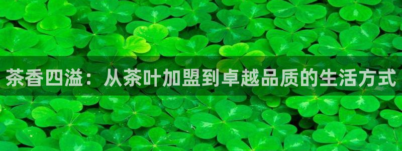 龙八国际华