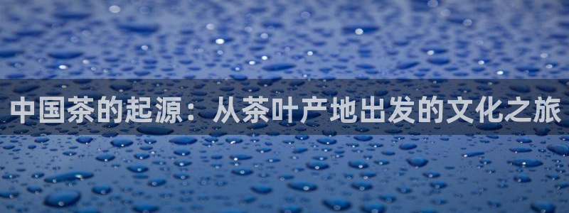 龙八国际服官网下载安装