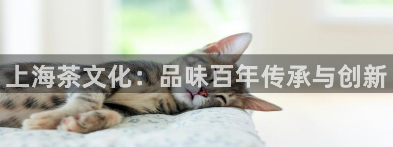 龙八国际娱乐网址