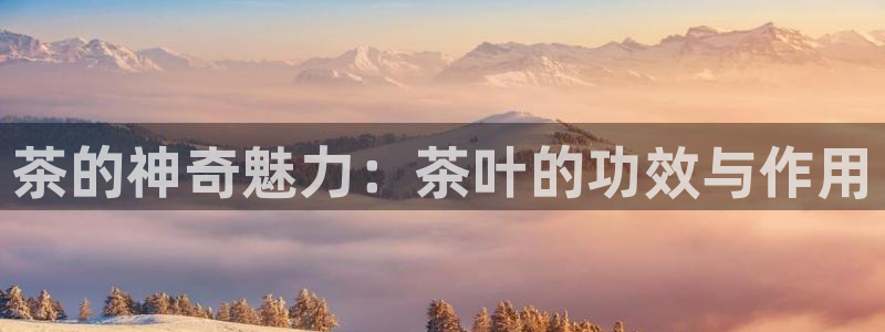 龙八国际娱乐场