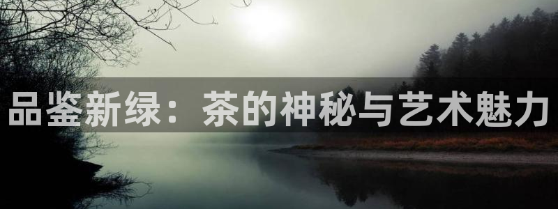 龙八国际集团有限公司