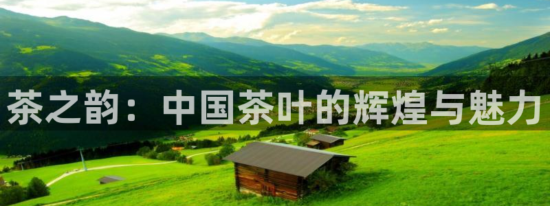龙八国际管网登陆