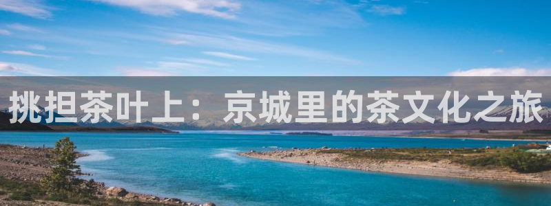 龙八国际菲律宾官网