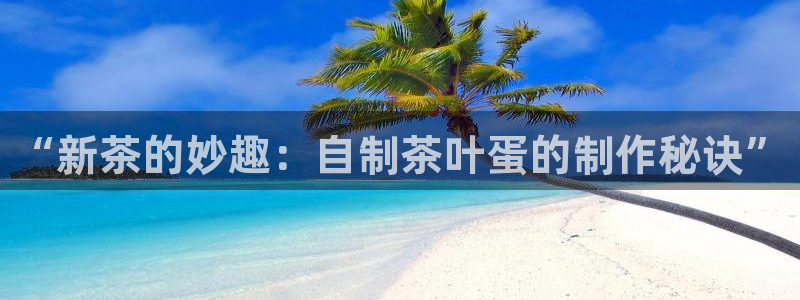龙八国际在哪里啊