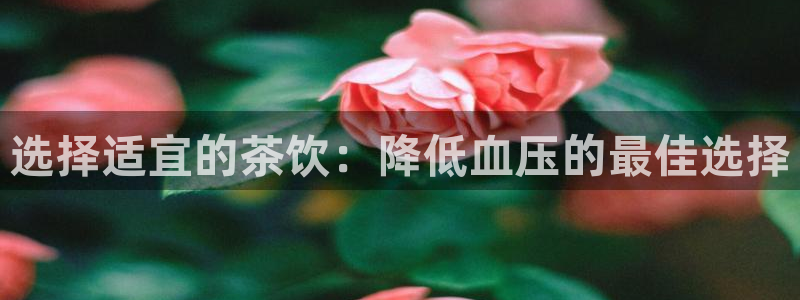 www.龙八国际