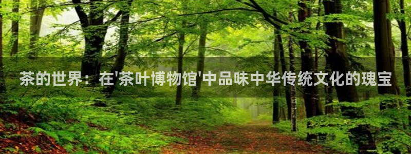龙八国际在哪里啊