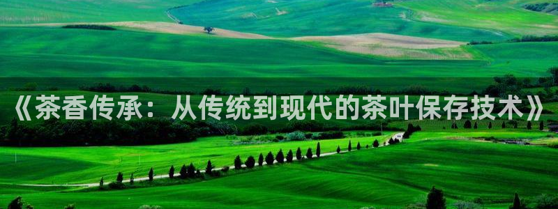龙八国际官方网