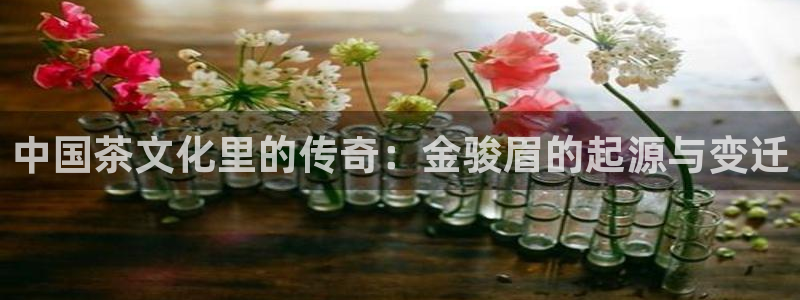 龙八国际服官网入口