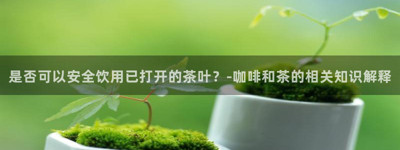 举报龙八国际