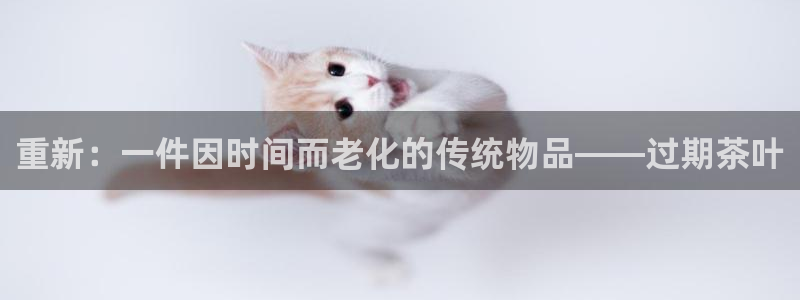 龙 八国际