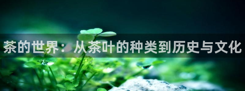 龙八国际娱乐平台