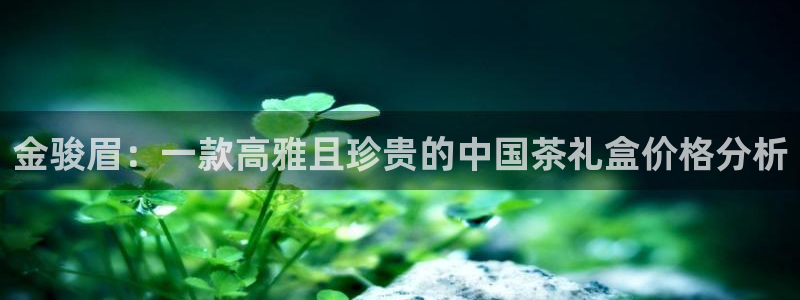 龙八国际城客运站电话