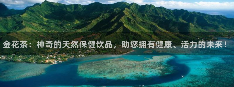 龙八国际软件下载