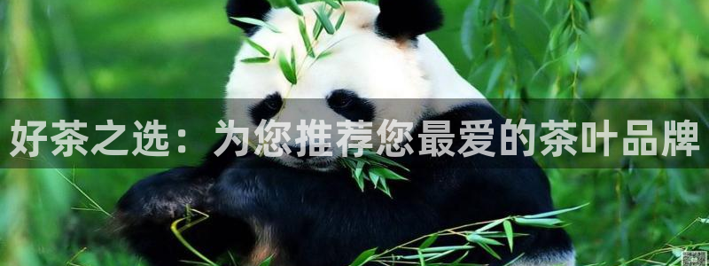 龙八国际app下载地址网址