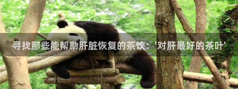 龙八国际q18 tv