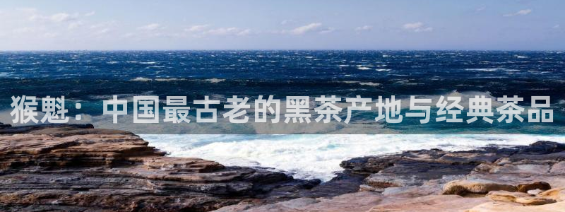 龙八国际官网app下载