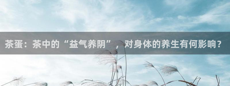 龙八国际 官网