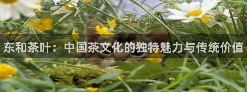 龙八国际游戏下载地址