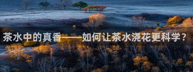 龙八国际娱乐官方网址