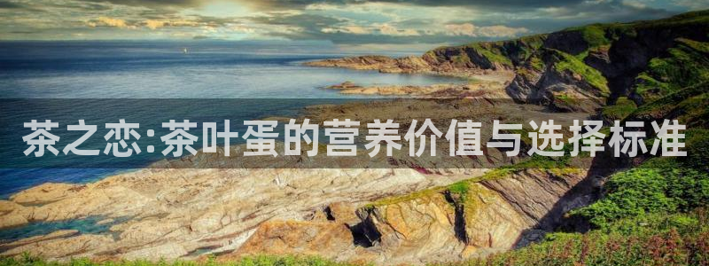 龙八国际刘佳烨