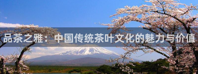 龙八国际下载安装