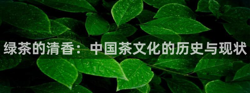 龙八国际安全