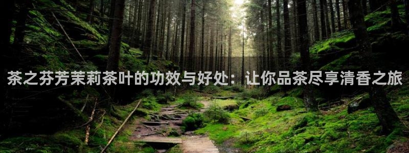 龙八国际头号玩家是谁