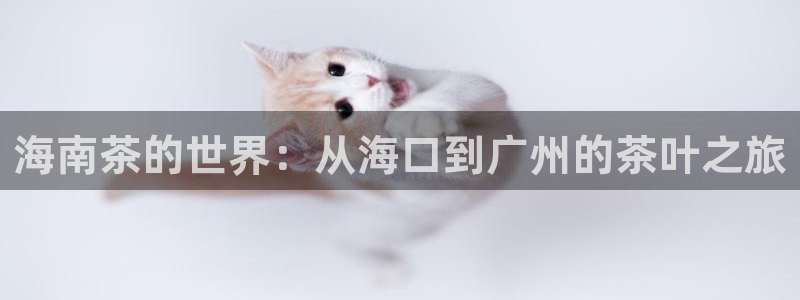 龙八国际优惠券有什么用