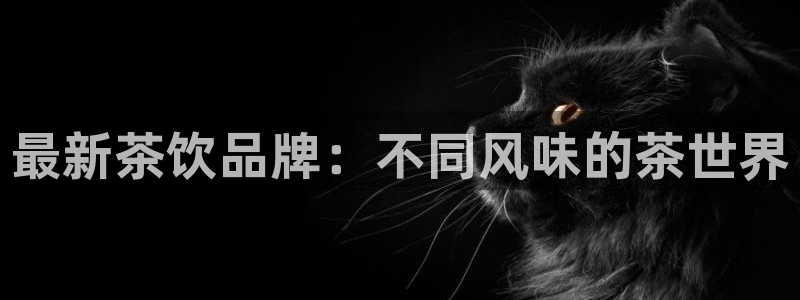 龙八国际技巧