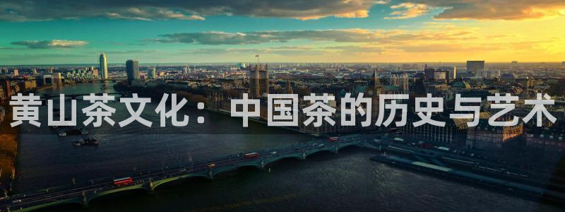 龙八国际不管吗