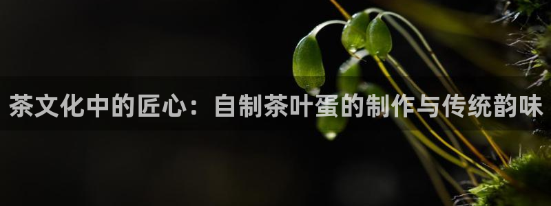 龙八国际娱 乐