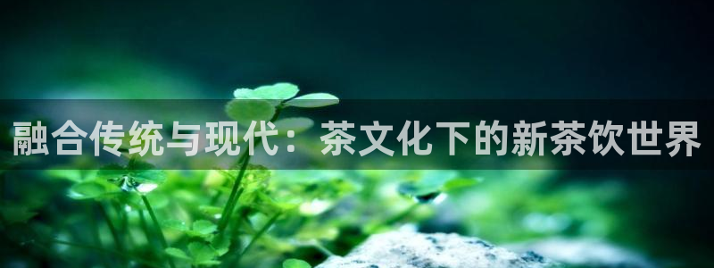 龙八国际手机端官网